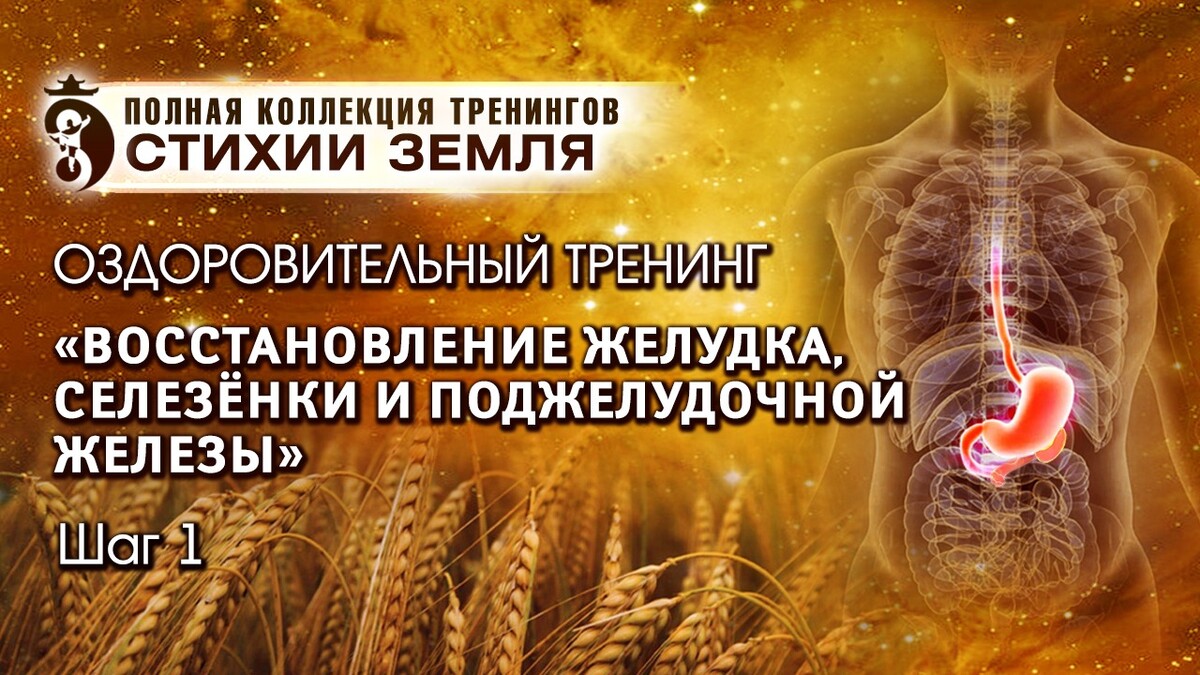 здоровье жкт здоровье жкт