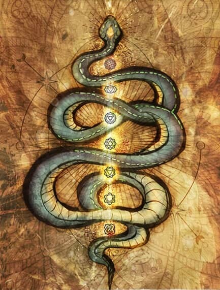 <p>Dharma Vibes</p>
<p>Kundalini Serpent by McAshe</p> <p>Dharma Vibes</p>
<p>Kundalini Serpent by McAshe</p>