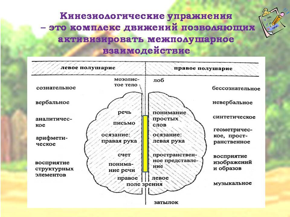 Кинезиологические упражнения, развивающие межполушарное взаимодействие