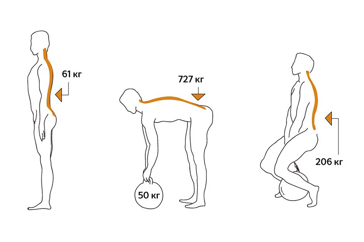 Нагрузка на поясничный отдел позвоночника в зависимости от положения тела
