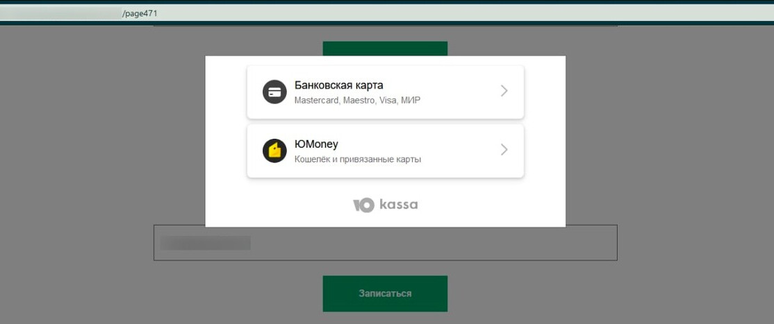 Окно выбора способа оплаты для ЮКаssа Окно выбора способа оплаты для ЮКаssа