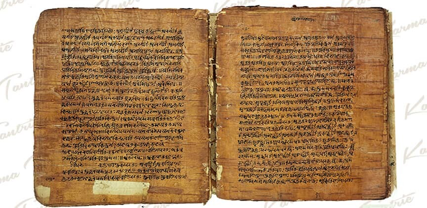 <p>Wellcomecollection.org</p>
<p>Wellcomecollection.org</p>