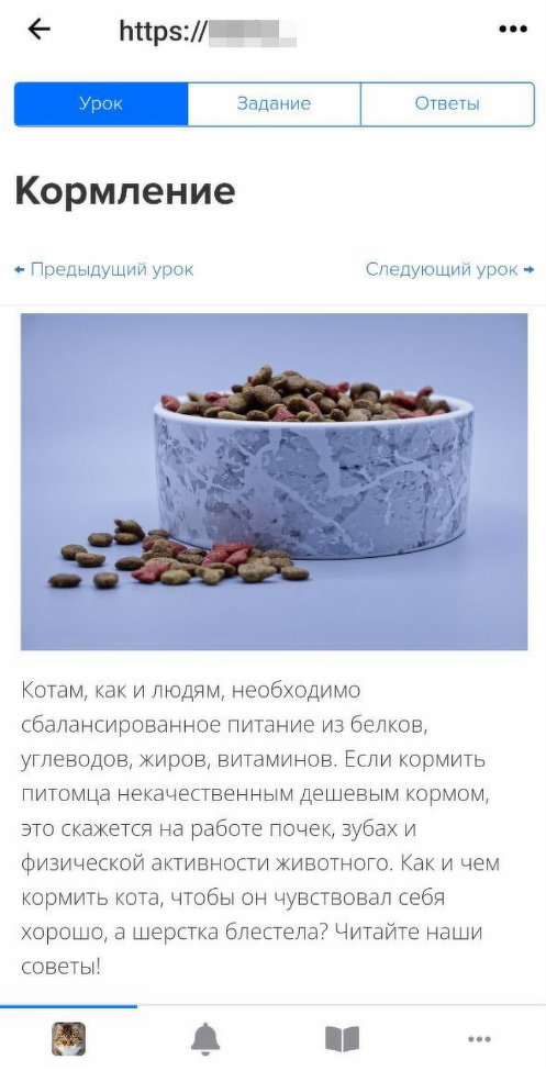 Неоптимизированный урок Неоптимизированный урок