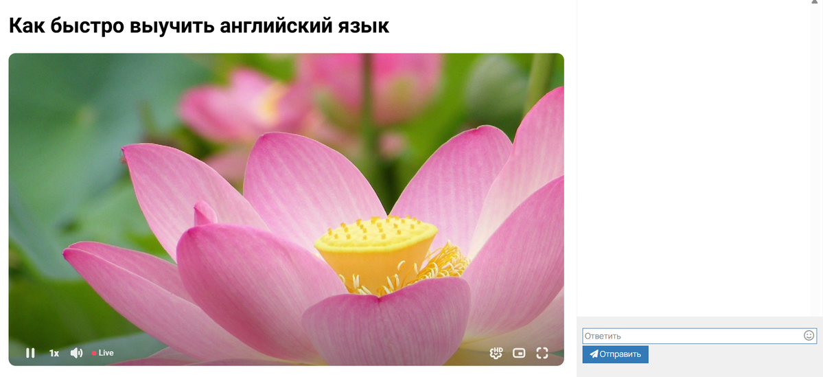Плеер, в котором убрали только полосу перемотки Плеер, в котором убрали только полосу перемотки