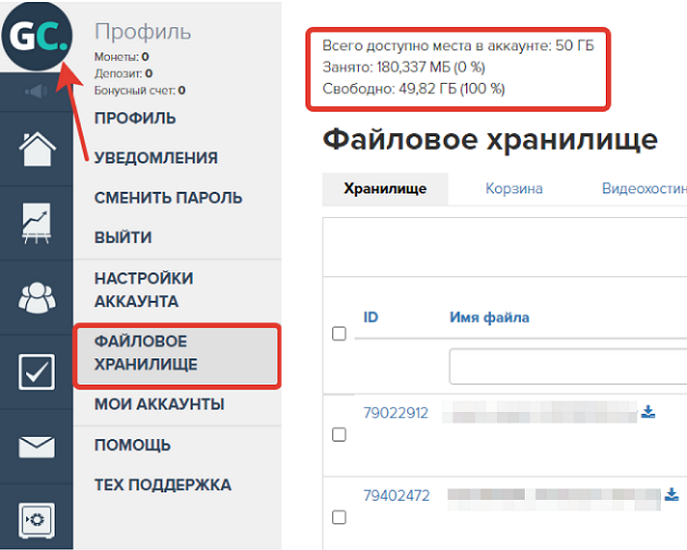 Раздел «Профиль» — «Файловое хранилище»