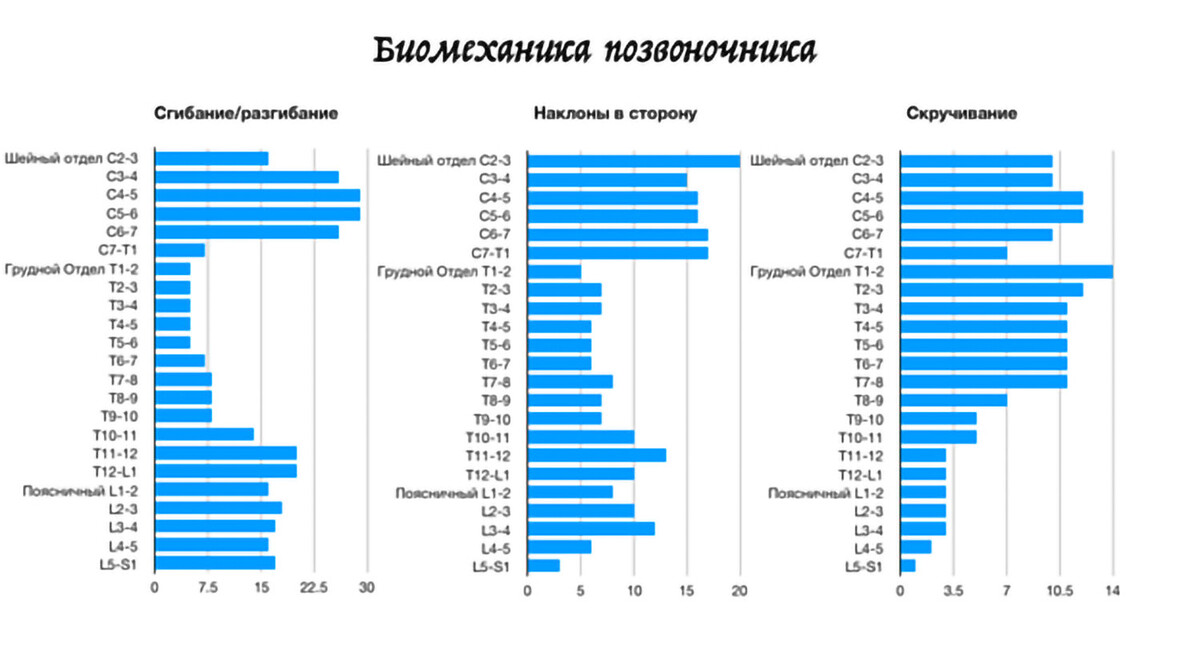 Таблица движений в позвоночнике Таблица движений в позвоночнике