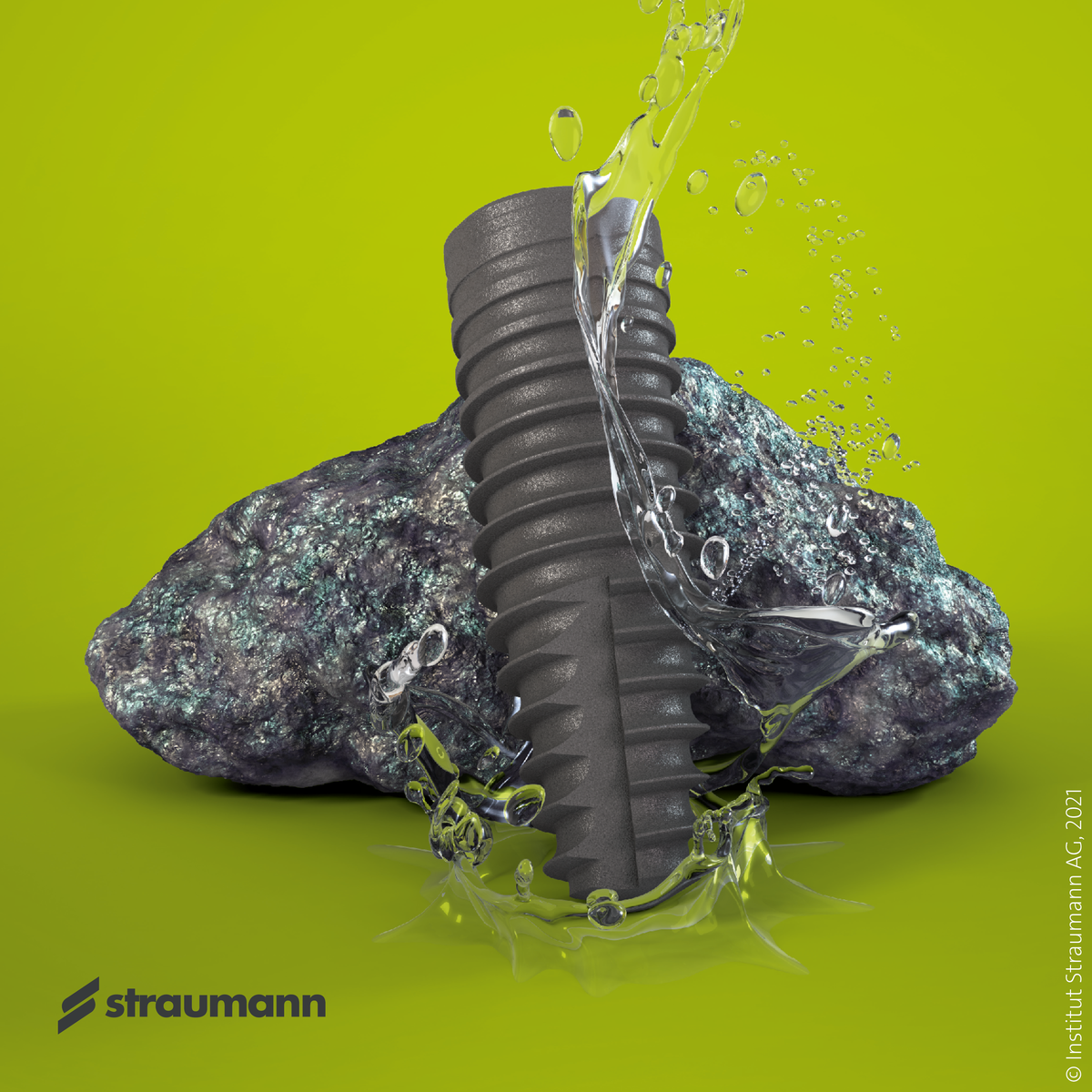 www.straumann.com