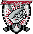 Школа развития вратарей Dream Team Школа развития вратарей Dream Team