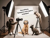 Neurophotoshool Neurophotoshool