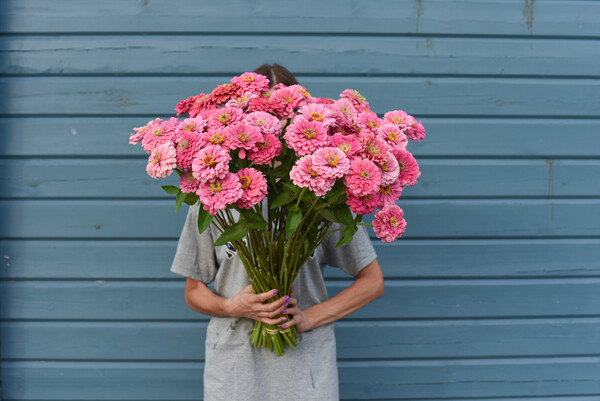 localflowersfarmingschool.getcourse.ru