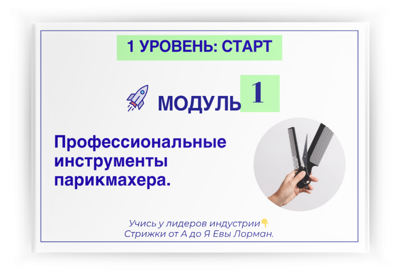 Профессиональный Авторский Мега Курс Колористики EXPERT Евы Лорман