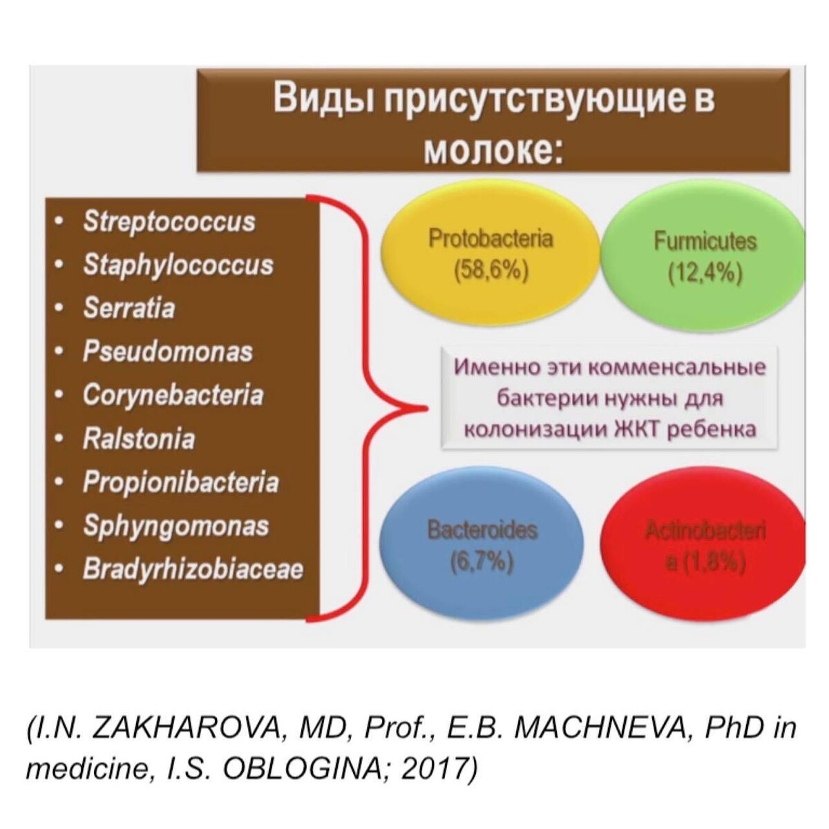 «Страшный зверь» стафилококк / «Мой кроха и я»