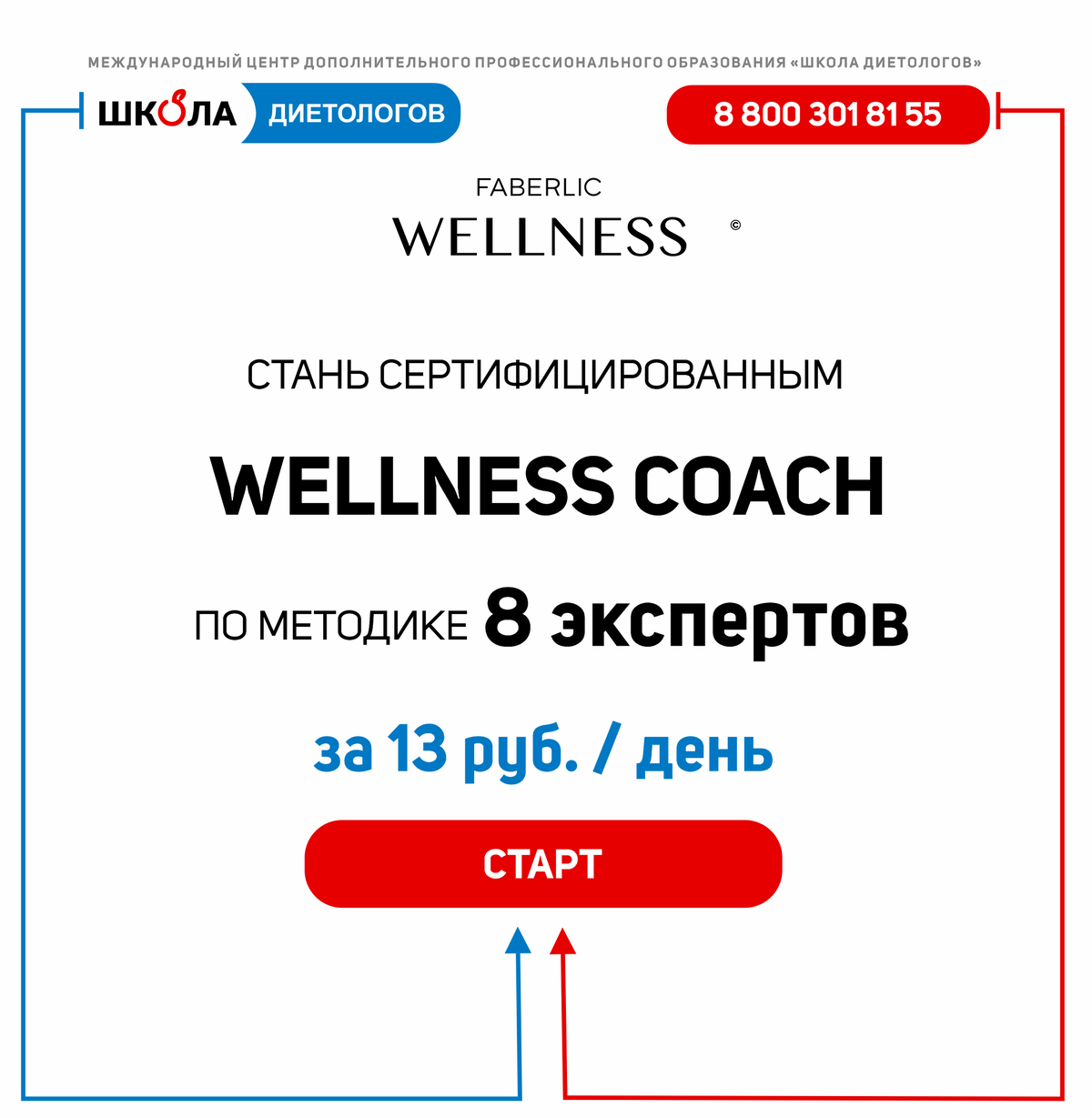 WELLNESS COACH