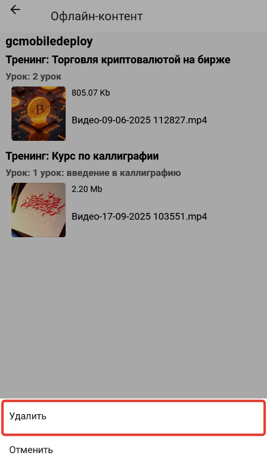 <p>
		Удаление видео из офлайн-раздела</p>