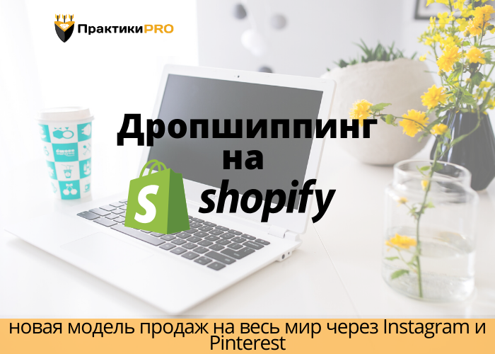 Авито Продажа Интернет Магазин С Дропшиппинг