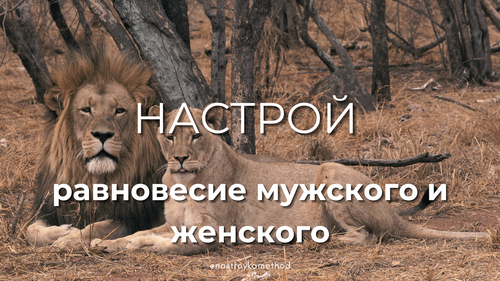 Настрой «Равновесие мужского и женского»