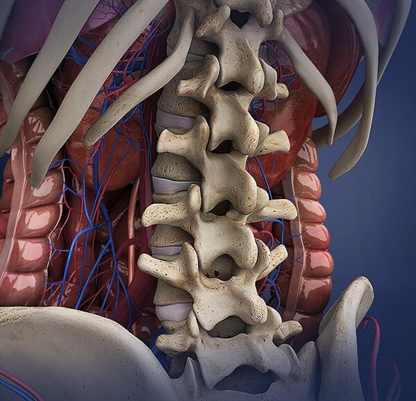 kinesiocourse.getcourse.ru