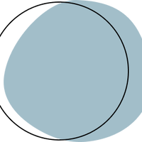 Онлайн школа Елены Лаштабега