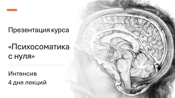 limstream.ru