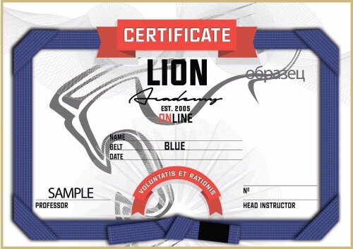 Lion academy. Lion Academy BJJ. Логотип Лион Академия. Sertificate или Certificate. Lion Academy Moldova fea.