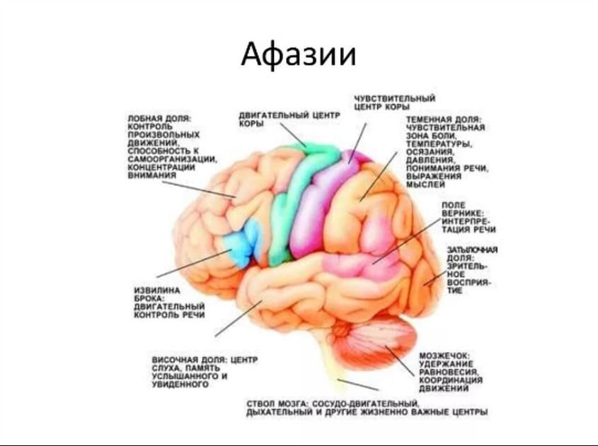 Речь: понятие, виды, функции и характеристики в психологии