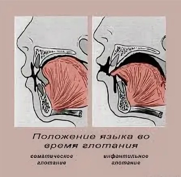Интонация повествовательного предложения - FINDOUT.SU