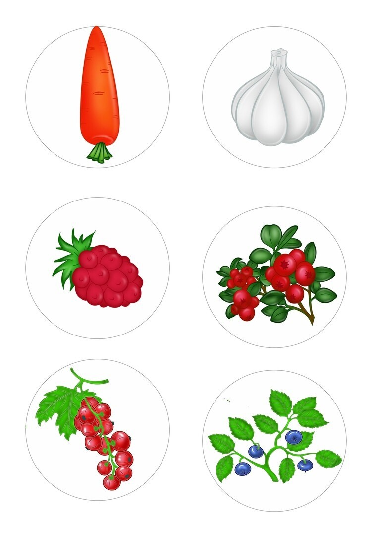 Картинки фрукты для компота для детей