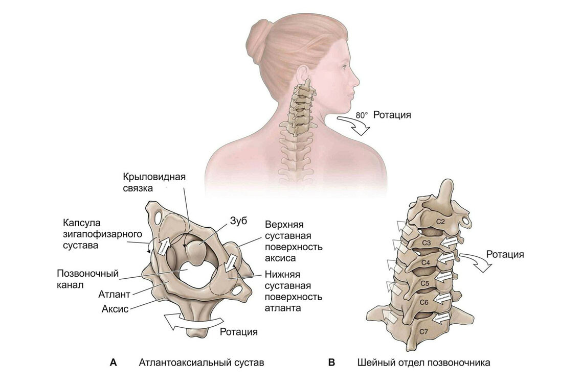 Лечение шейного отдела позвоночника