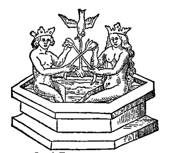 Погружение в купель. Илл. из алхимического трактата «Rosarium Philosophorum», Франкфурт, 1550 г.