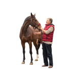 Лошадь от А до Я