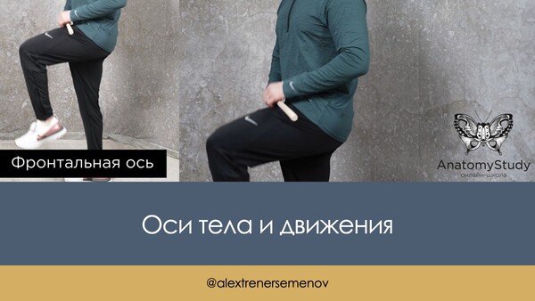 Оси тела человека