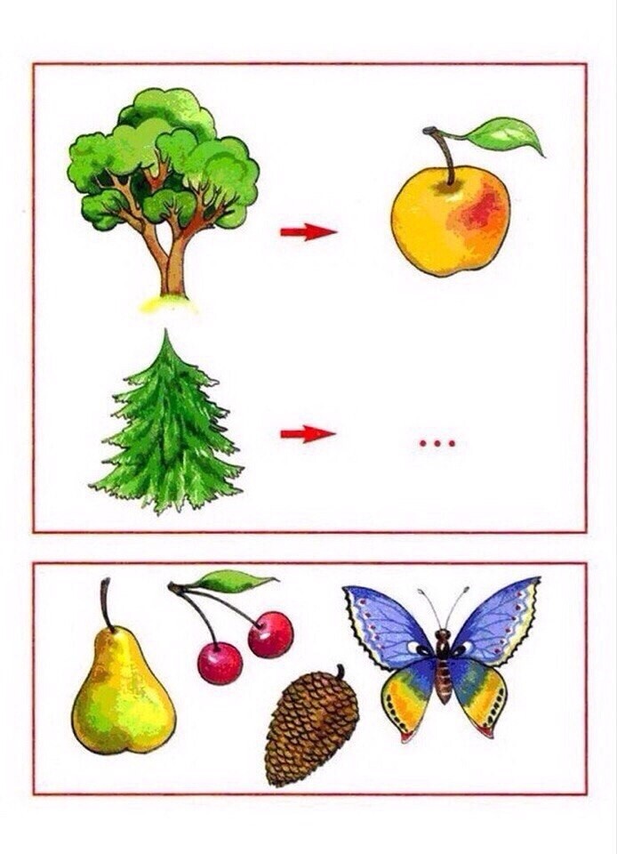 Аналогии для дошкольников картинки 6 7 лет