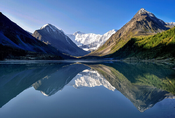 Горный алтай марал фото