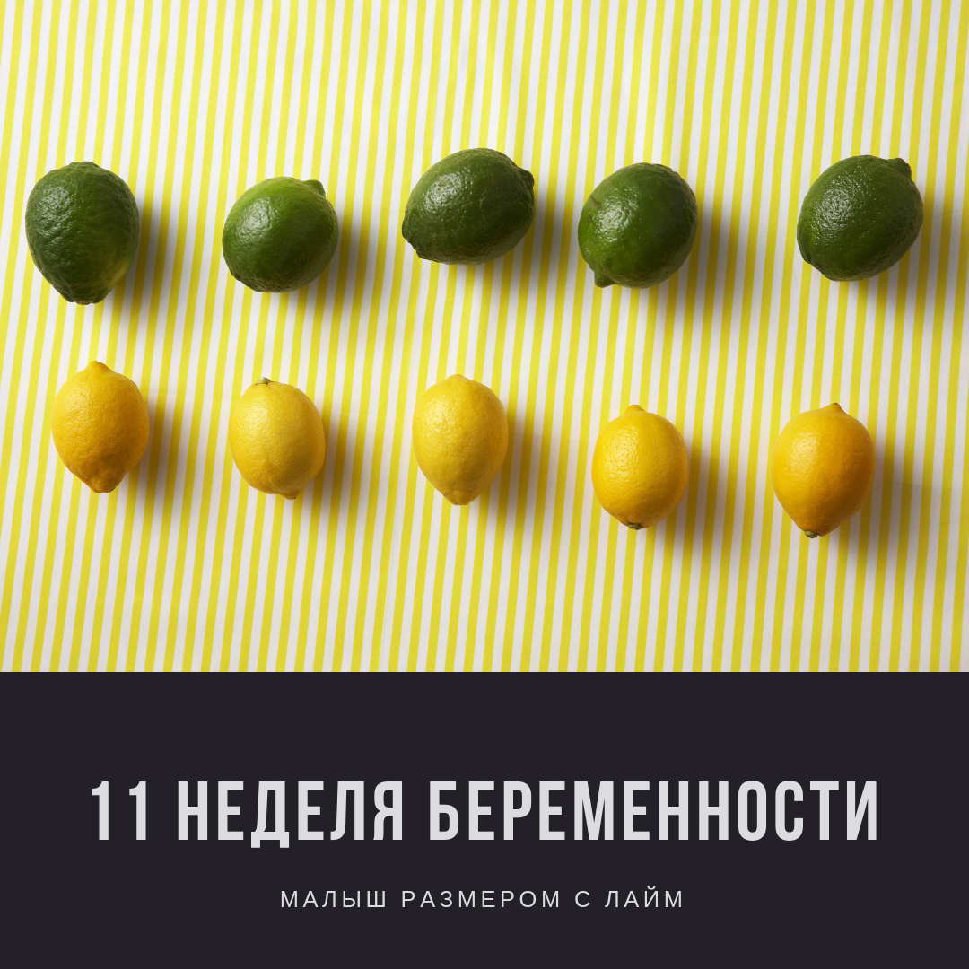 11 неделя беременности