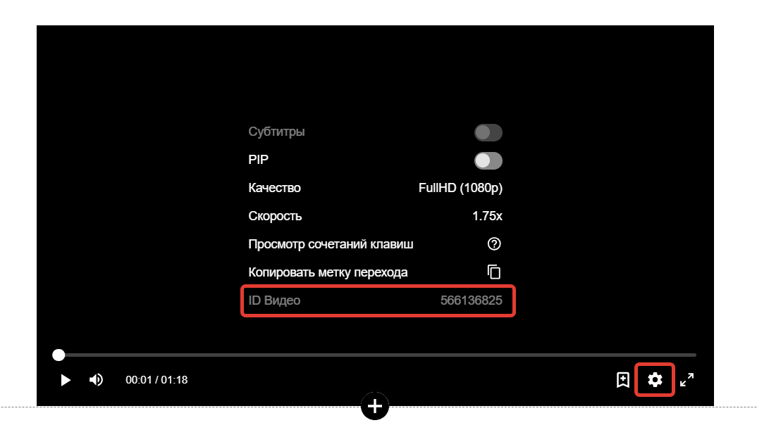
		
		<p>ID видео</p>		