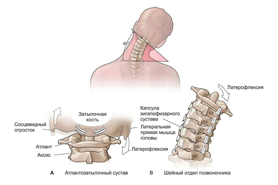 Craniocervical Flexion Test"的 图 片 搜 索 结 果 Cervical, Thoracic vertebrae, Cervical