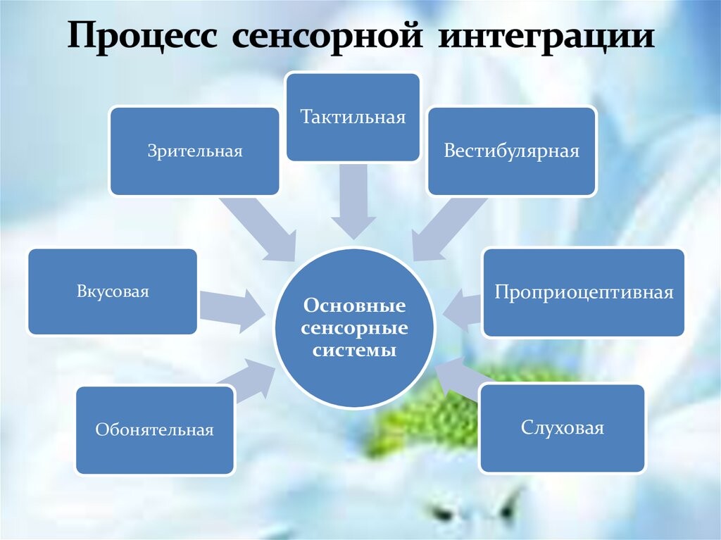 Сенсорная моторная интеграция