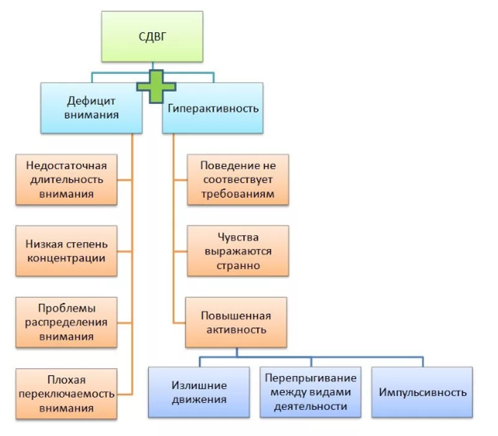 Сдвг это. Синдром дефицита внимания симптомы. Синдром дефицита внимания и гиперактивности симптомы и признаки. Основные проявления СДВГ. Синдром СДВГ.