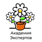 Академия Экспертов Ирины Дель Соль
