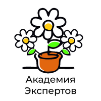 Академия Экспертов Ирины Дель Соль