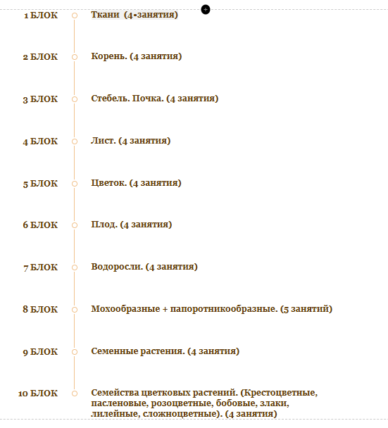 <p><strong>Предварительная программа курса</strong></p>