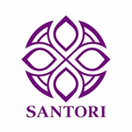 Школа  современной медитации и интегративных практик "Santori"